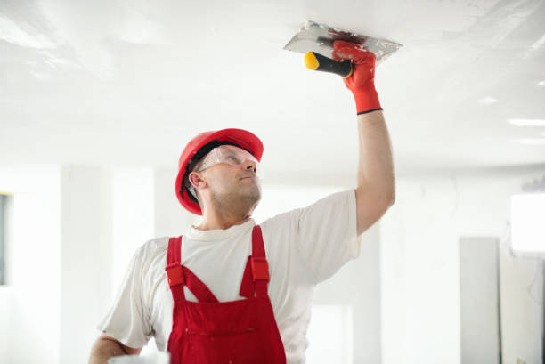 Best Pressure Washing and Painting Preparation  in Goldsboro, NC