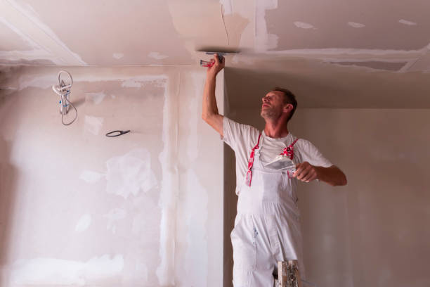 Best Drywall Installation  in Goldsboro, NC